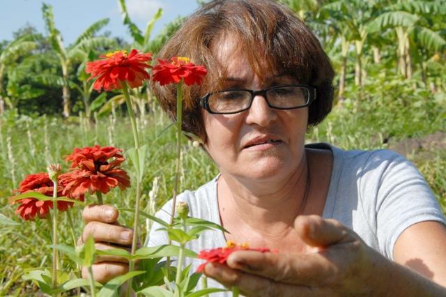 Lidia Cano, floricultora. - lidia-cano-floricultura