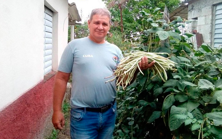 Cuban bioproducts offer results in Villa Clara crops