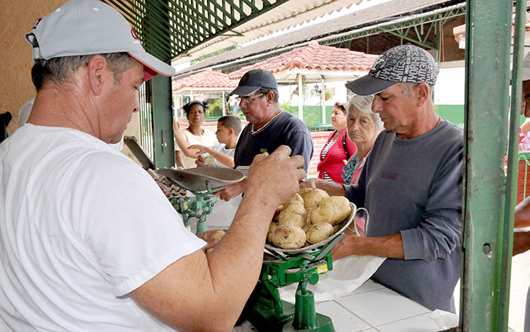 Venta de papas en Santa Clara