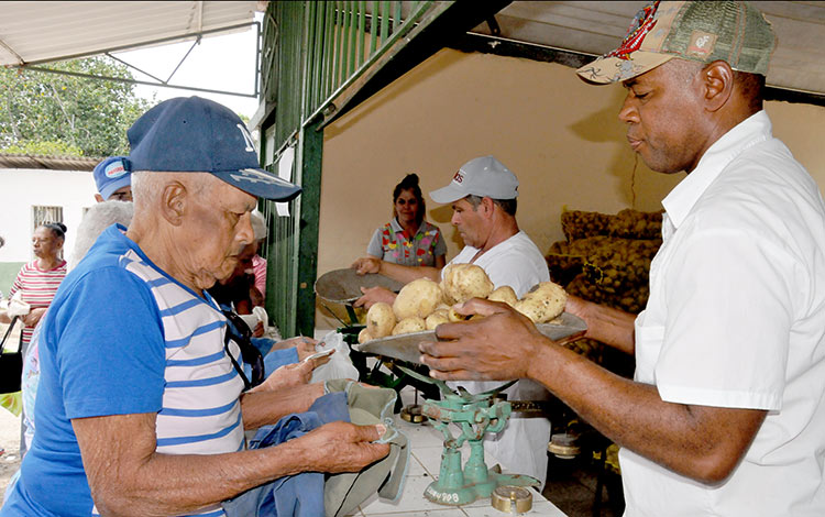 Venta de papas en Santa Clara Venta de papas en Santa Clara