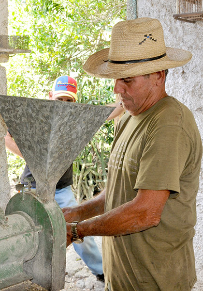 Urbano, campesino villaclareño Urbano, campesino villaclareño