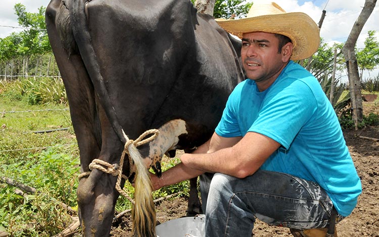 Michel Contino Rodríguez