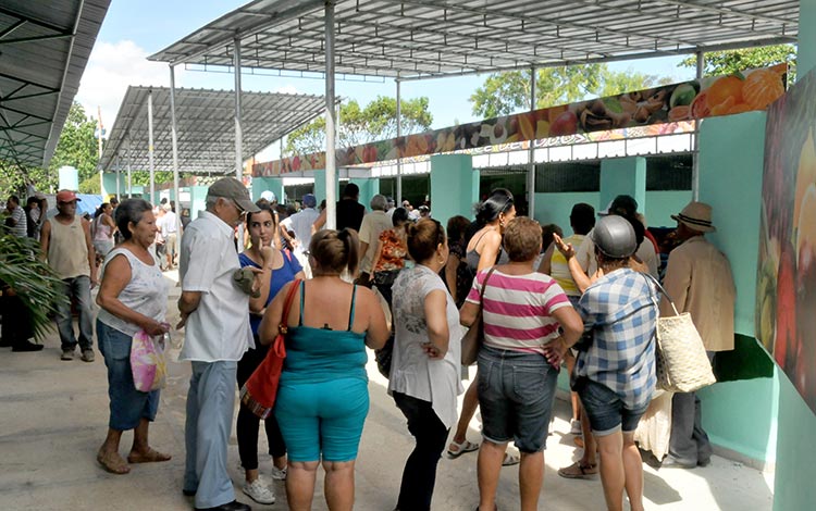 Carpas en el mercado agropecuario de Buen Viaje, en Santa Clara. Carpas en el mercado agropecuario de Buen Viaje, en Santa Clara.