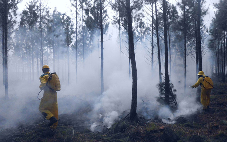 Incendio forestal en Villa Clara