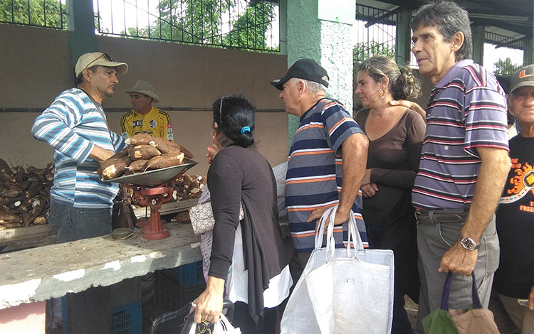 Feria agropecuaria en el Recinto Ferial Los Pilongos, de Santa Clara.