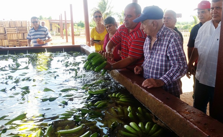 Visita de Machado Ventura a Villa Clara Visita de Machado Ventura a Villa Clara