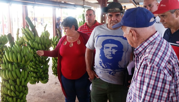 Visita de Machado Ventura a Villa Clara Visita de Machado Ventura a Villa Clara