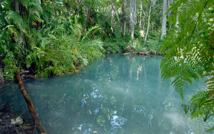 Ojo de agua en la CPA Victoria de Girón, en Corralillo, Villa Clara.