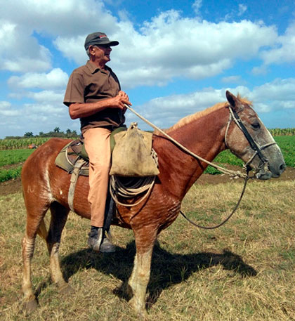 Ricardo Moreno, campesino de la CPA Victoria de Girón, en Corralillo.