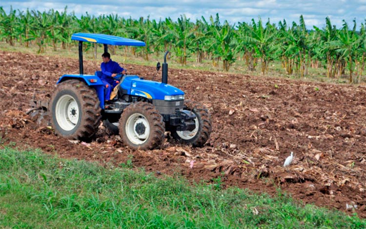 Preparación tierras