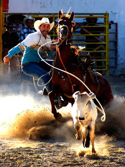 Obra Ases del rodeo, de Luisa Martina Hernández Valdés.