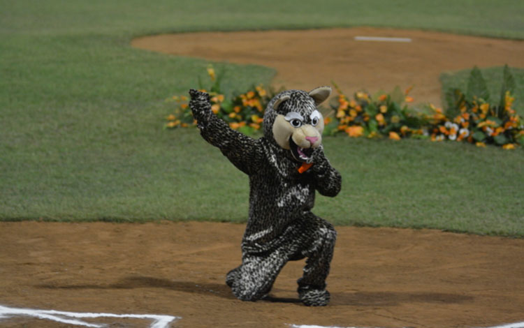 Leopardo, mascota del equipo Villa Clara de béisbol.