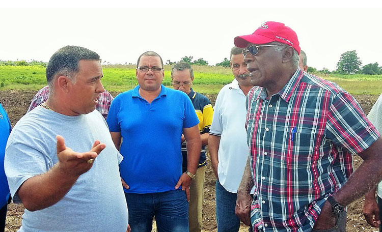 Primer vicepresidente, Salvador Valdés Mesa, recorre finca de Alexei Rodríguez, en Camajuaní. Primer vicepresidente, Salvador Valdés Mesa, recorre finca de Alexei Rodríguez, en Camajuaní.