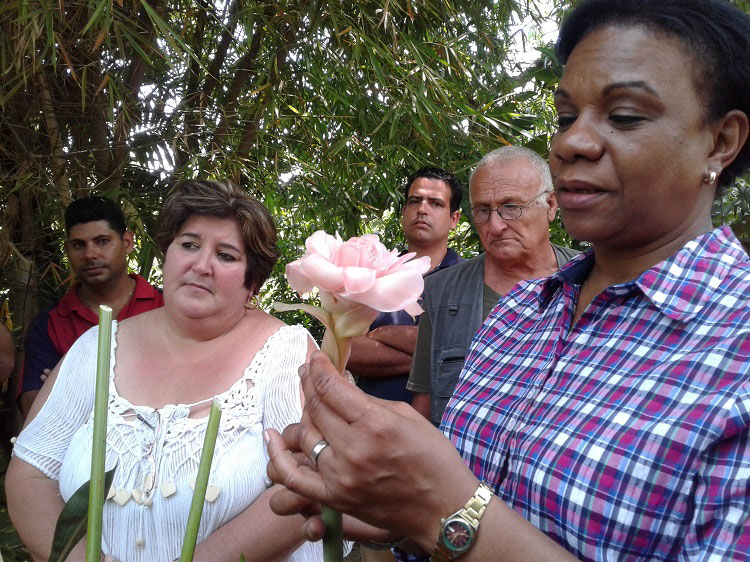Inés María Chapman, vicepresidenta de los Consejos de Estado y de Ministros, elogia producción de flores en la finca de frutales Los Mangos, en Caibarién, Villa Clara. Inés María Chapman, vicepresidenta de los Consejos de Estado y de Ministros, elogia producción de flores en la finca de frutales Los Mangos, en Caibarién, Villa Clara.