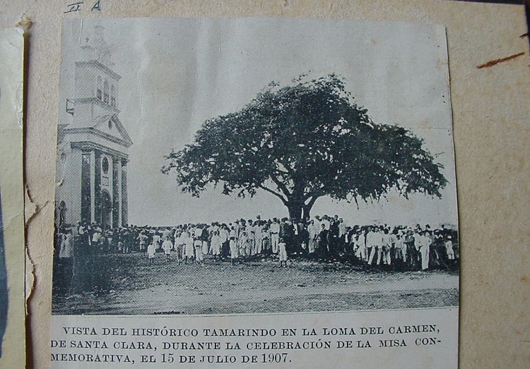 Tamarindo de la fundación, 1907