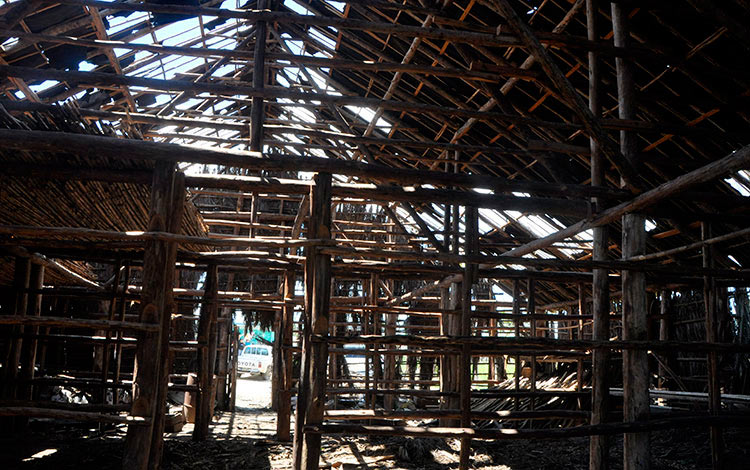 Casas de tabaco afectadas por el huracán Irma. Casas de tabaco afectadas por el huracán Irma.