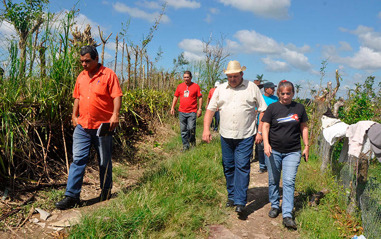 Rafael Santiesteban Pozo, presidente nacional de la Asociación Nacional de Agricultores Pequeños (ANAP), recorre 
