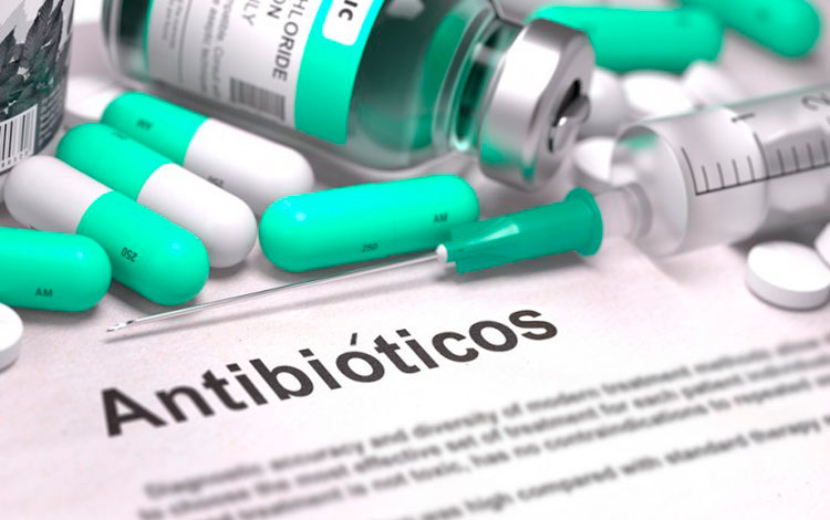 Antibióticos.