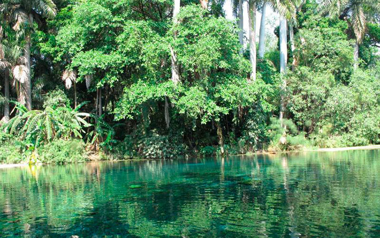 Paisaje natural de Villa Clara, Cuba.