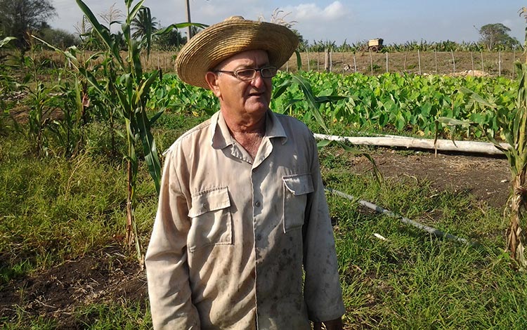 Campesino Ezequiel Mendoza Fabelo. Campesino Ezequiel Mendoza Fabelo.