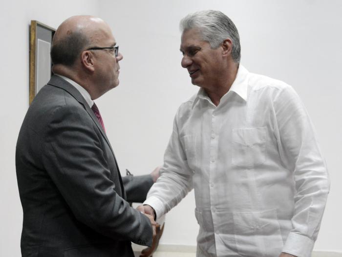 Recibió Díaz-Canel a congresista de Estados Unidos
