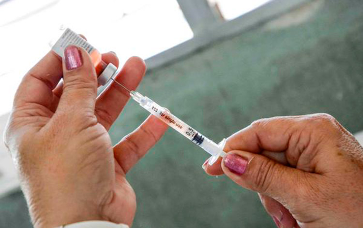 Vacunación contra la influenza gestacional.