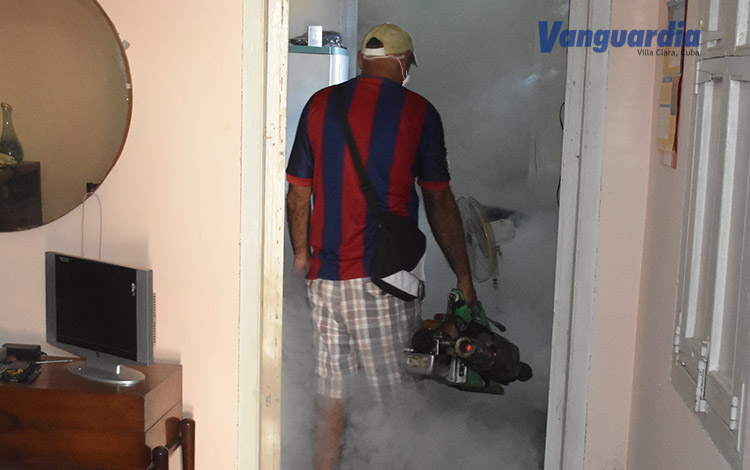 Fumigación Fumigación