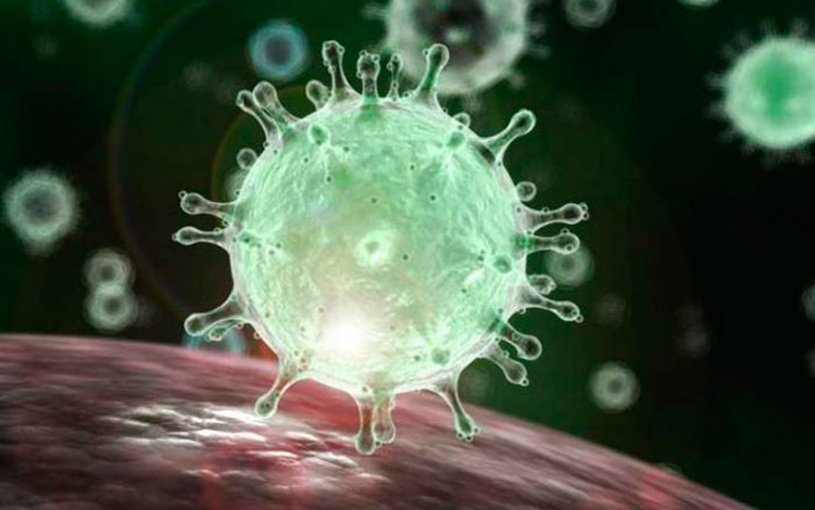 Nuevo coronavirus aparecido en China.