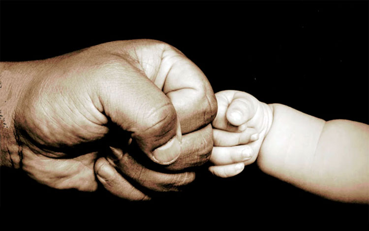 Manos de padre e hijo pequeño.