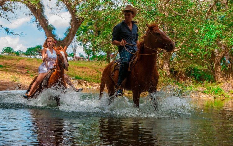 fincas de Remedios