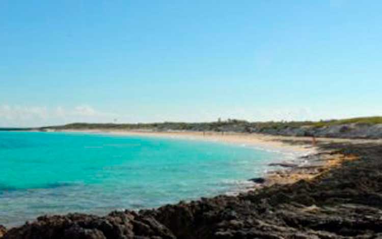 Cayo Esquivel