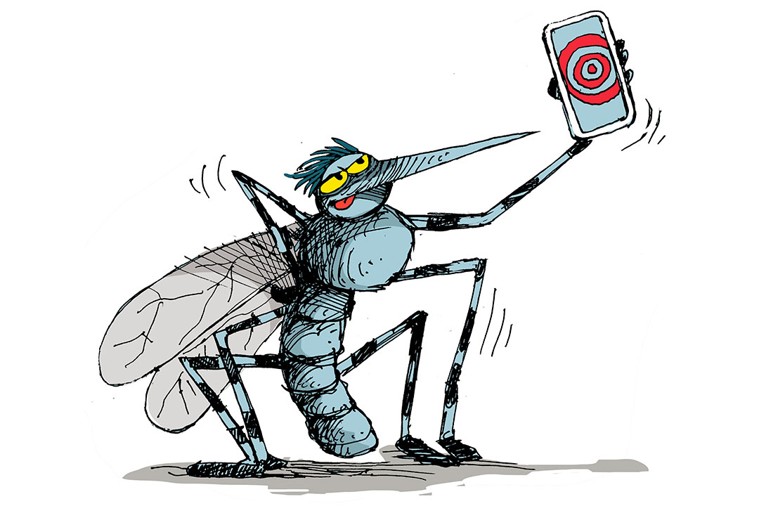 Caricatura de Alfredo Martirena sobre el mosquito Aedes aegyti.