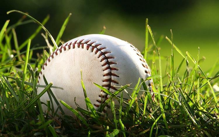 Pelota de béisbol