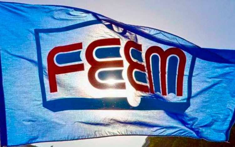 Bandera de la Federación de Estudiantes de la Enseñanza Media.