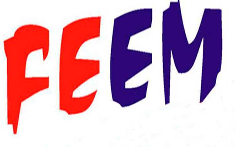 Logo de la FEEM