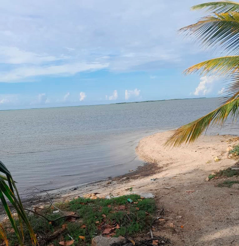 Costa y playa en Isabela de Sagua.