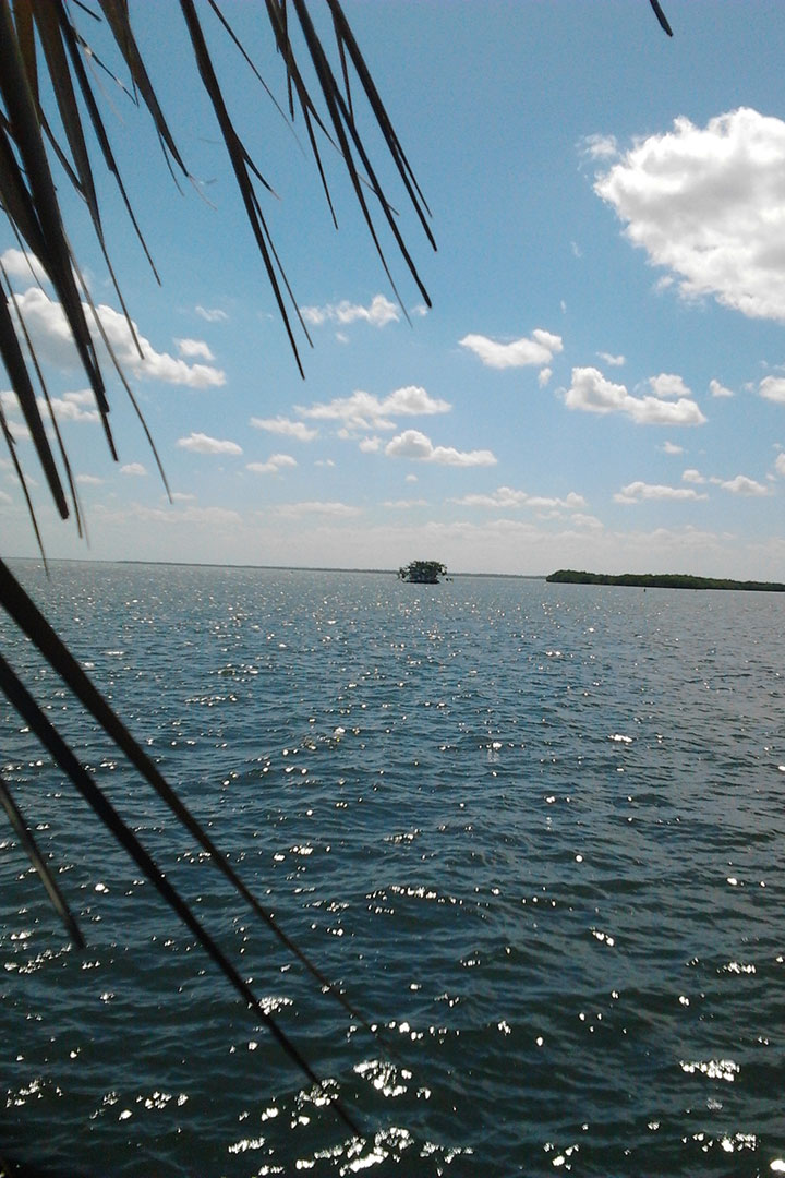 Paisaje martítimo de Isabela de Sagua.