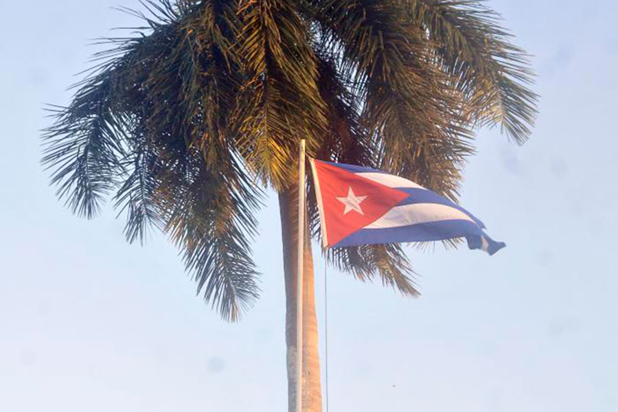 Bandera cubana y palma real.