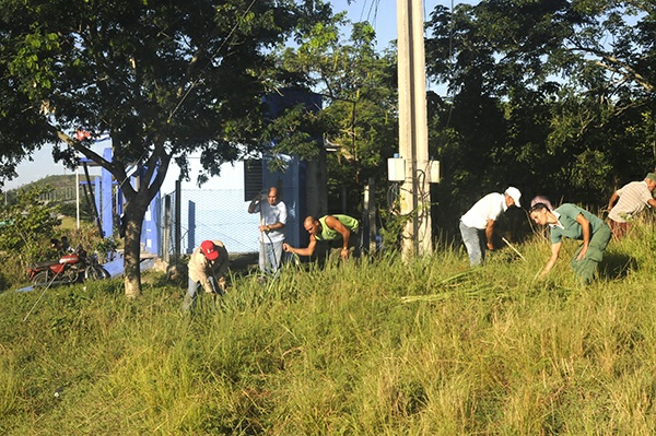 Chapea en la zona del punto de recogida.