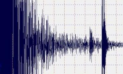 Esquema de registro de sismo.