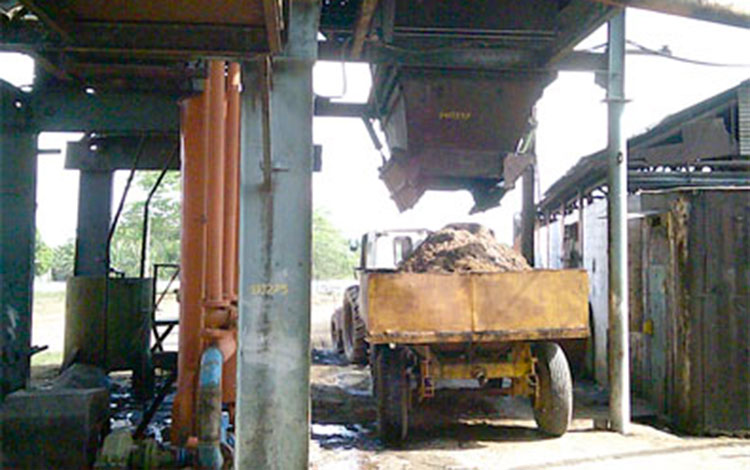 Producción de alimento animal en el central Héctor Rodrí­guez, de Sagua la Grande.