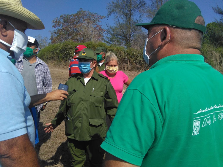 Presidenta del Consejo de Defensa Provincial de Villa Clara, Yudí Rodríguez Hernández, recorre polo productivo agrícola Paso Real. Presidenta del Consejo de Defensa Provincial de Villa Clara, Yudí Rodríguez Hernández, recorre polo productivo agrícola Paso Real.