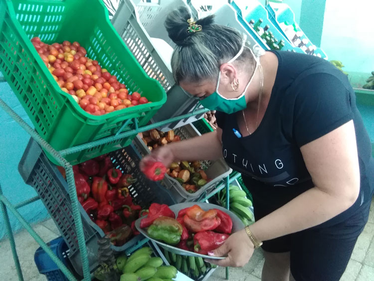Mercado agropecuario en Jibacoa, Manicaragua. Mercado agropecuario en Jibacoa, Manicaragua.