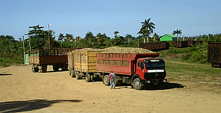 Tiro de caña en camiones para central azucarero.