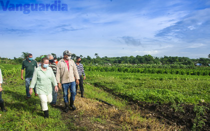 Yudí Rodríguez Hernández, primera secretaria del Partido en Villa Clara, en la finca del campesino camajuanense Maikel Santana. Yudí Rodríguez Hernández, primera secretaria del Partido en Villa Clara, pronuncia palabras de conclusión de la toma de posesión del gobernador y la vicegobern