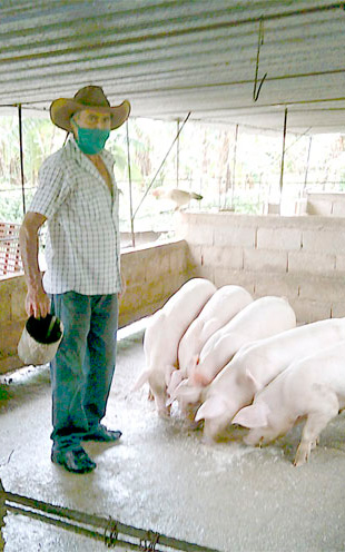 íngel Chaviano Espina, el presidente de la cooperativa, siempre previsor en las labores de campo. (Foto: Luis Machado Ordetx). íngel Chaviano Espina, el presidente de la cooperativa, siempre previsor en las labores de campo. (Foto: Luis Machado Ordetx).