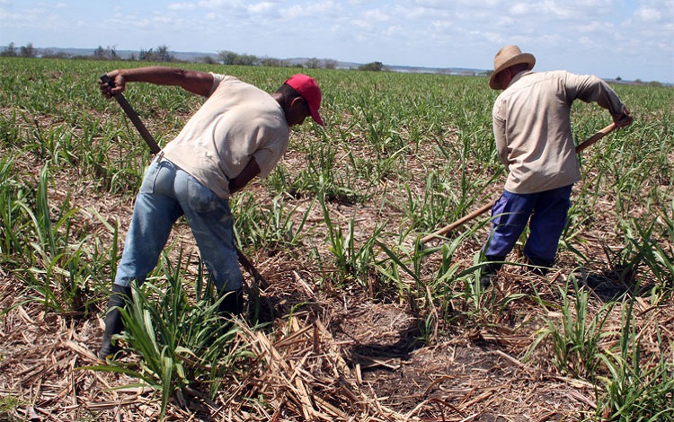 Vanguardia - Villa Clara - Cuba