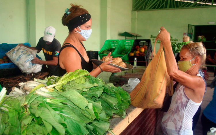 Mercado agropecuario Los Cocos, en Calabazar de Sagua. Mercado agropecuario Los Cocos, en Calabazar de Sagua.