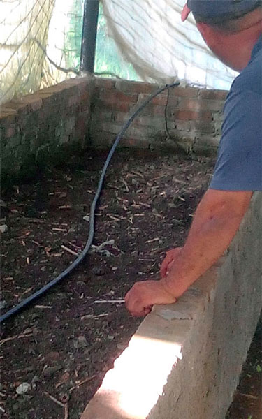 La lombricultura constituye una prioridad en la finca campesina. (Foto: Cortesía de Félix Manuel Pérez Romero) La lombricultura constituye una prioridad en la finca campesina. (Foto: Cortesía de Félix Manuel Pérez Romero)