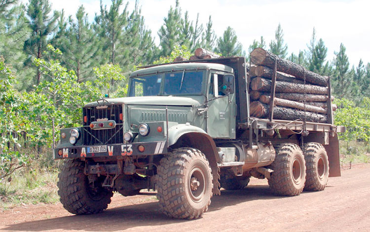 Extracción de madera en el írea de Manejo de Gavilanes.